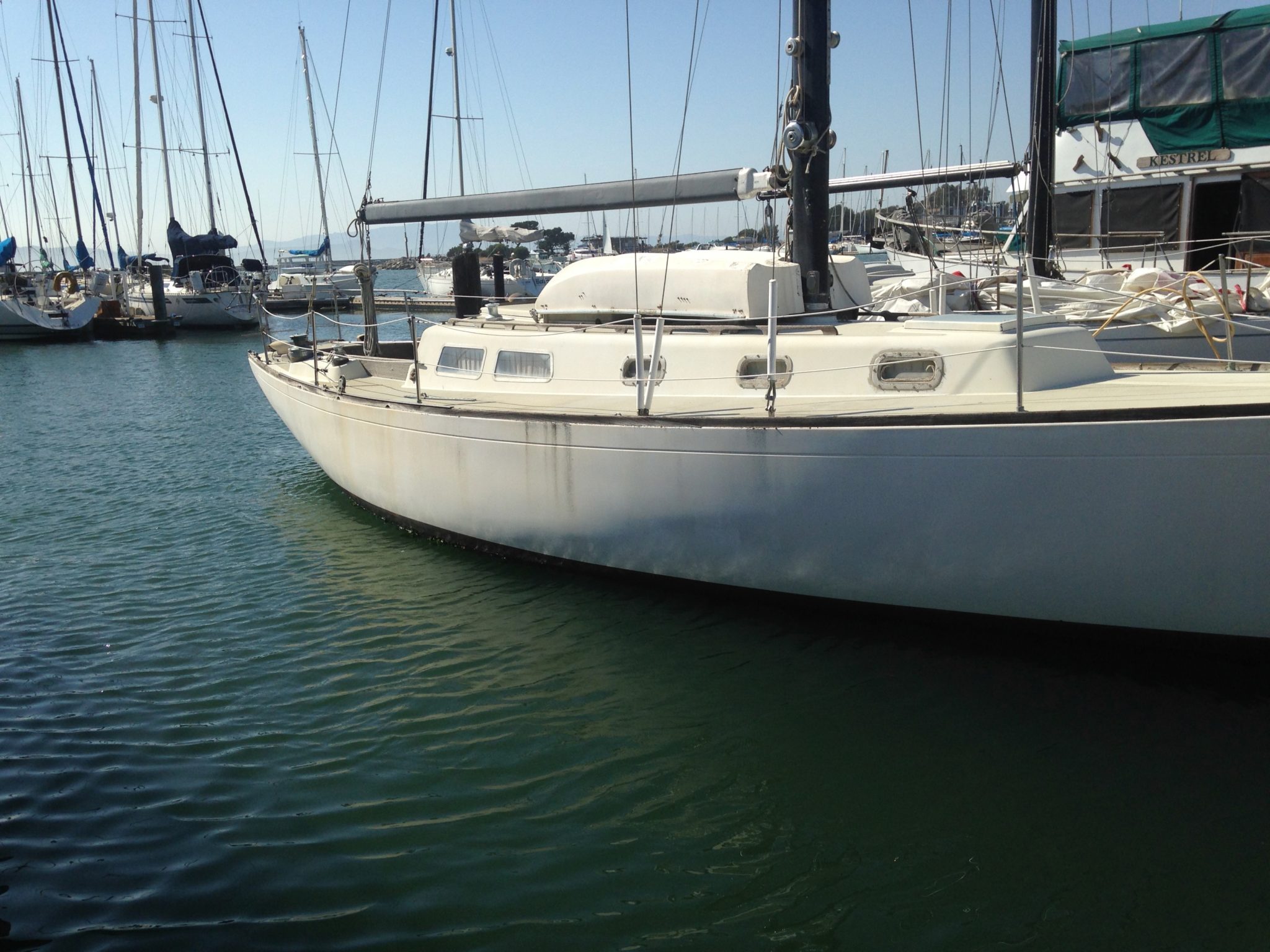 Cal 40 restoration