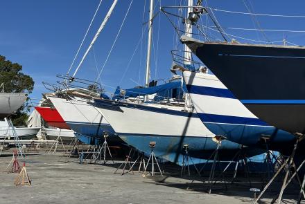 Boats in the yard
